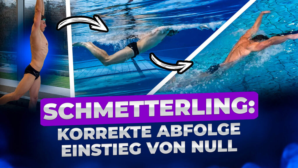 Delfin für Anfänger – die richtige Reihenfolge